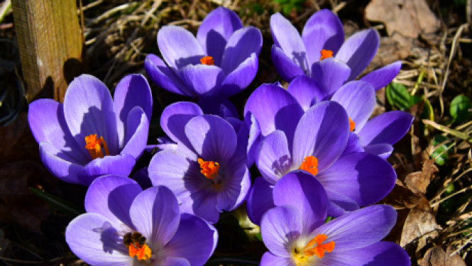 Pašvaldības nedēļas plāns 12.04.-18.04. 