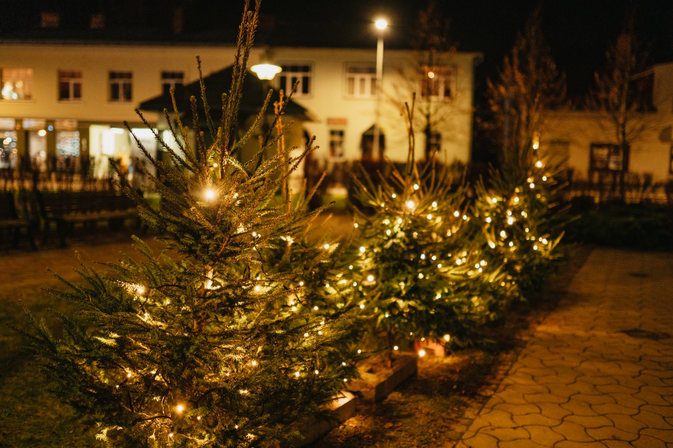 Ziemassvētku rota Jēkabpilī (K.Siliņš)