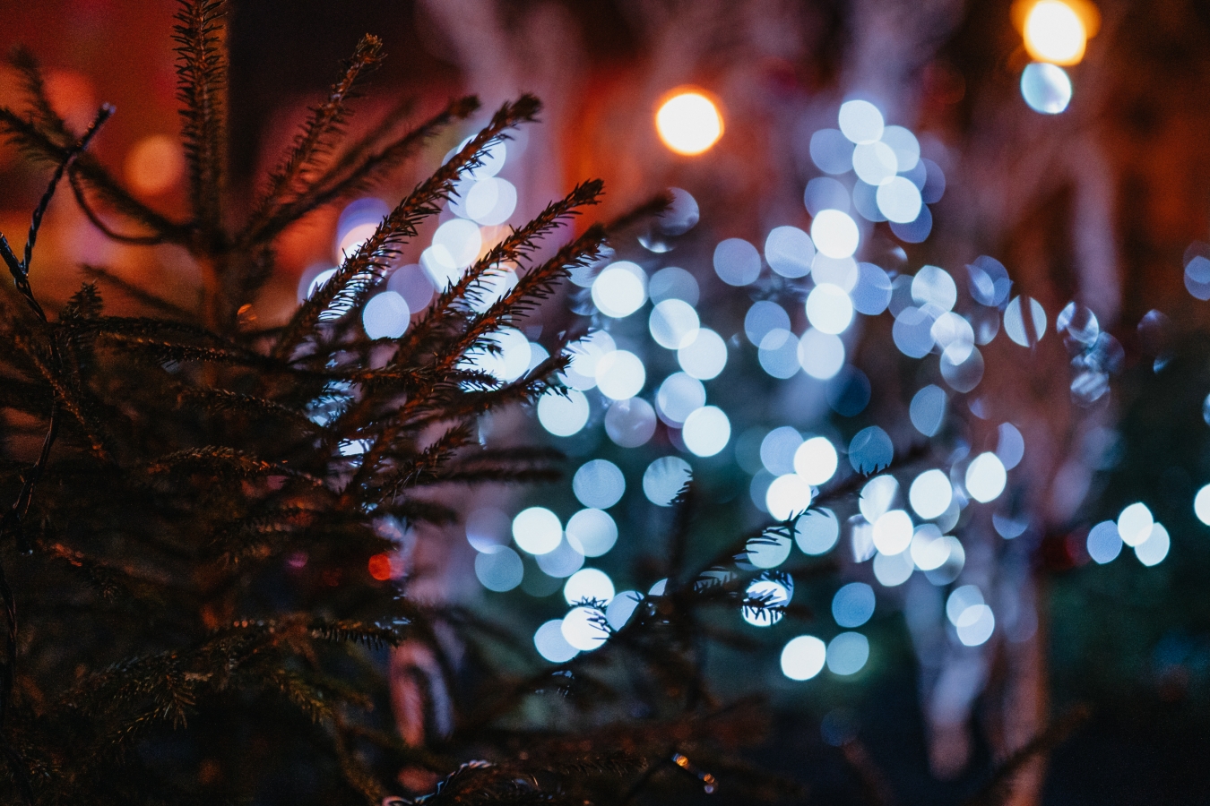 Ziemassvētku rota Jēkabpilī (K.Siliņš)