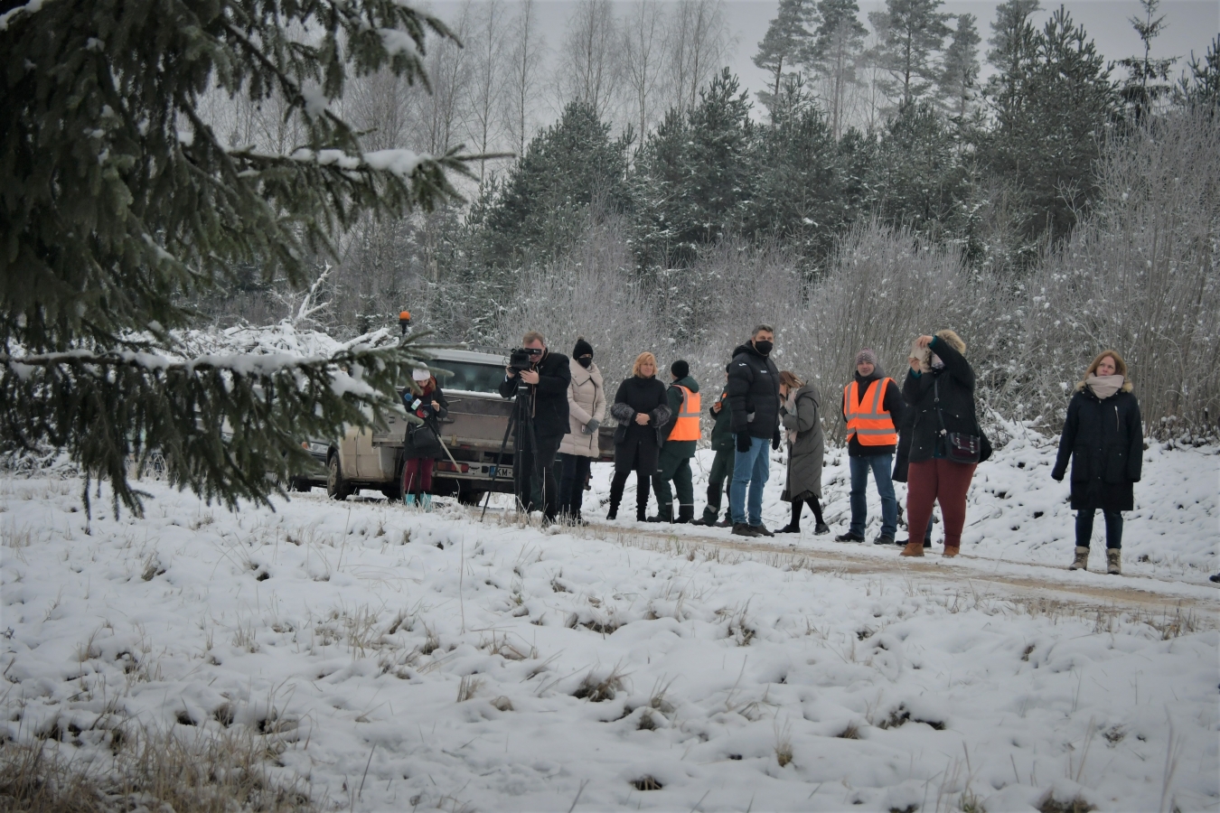 Izvēlēta pilsētas galvenā egle