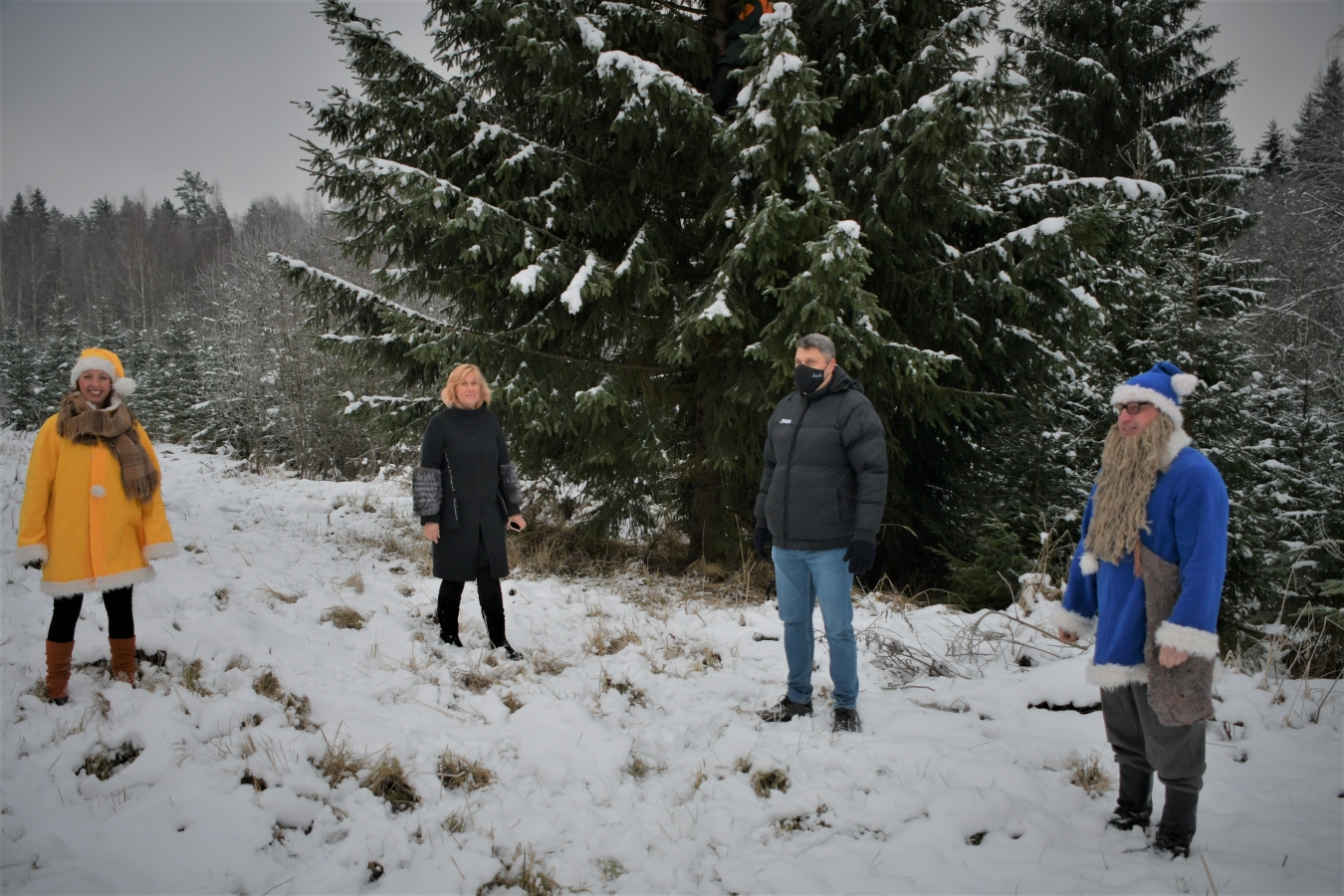 Izvēlēta pilsētas galvenā egle