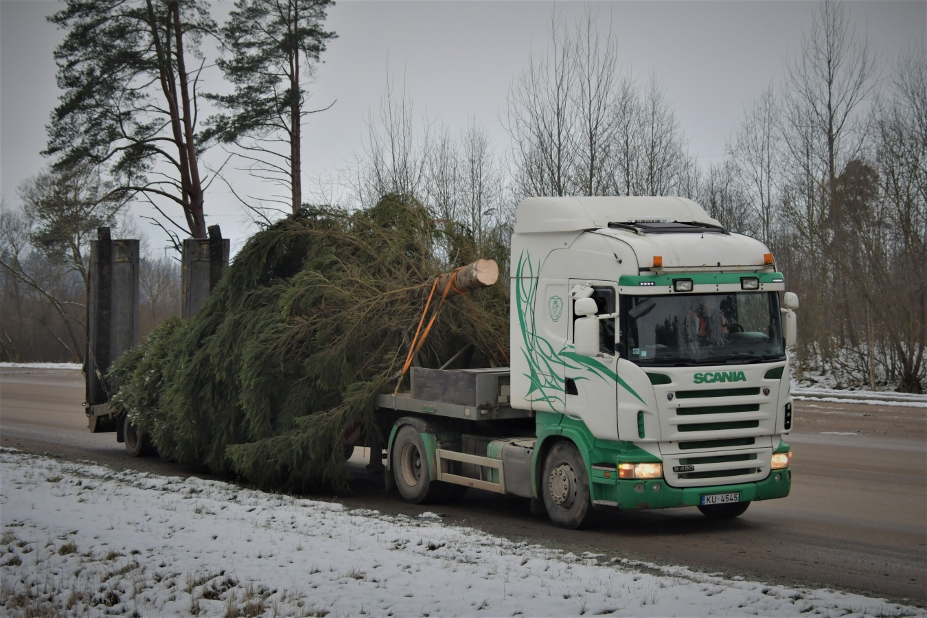 Izvēlēta pilsētas galvenā egle