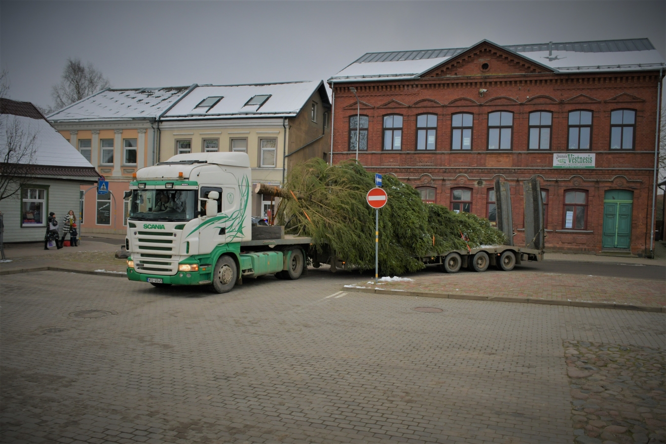 Izvēlēta pilsētas galvenā egle