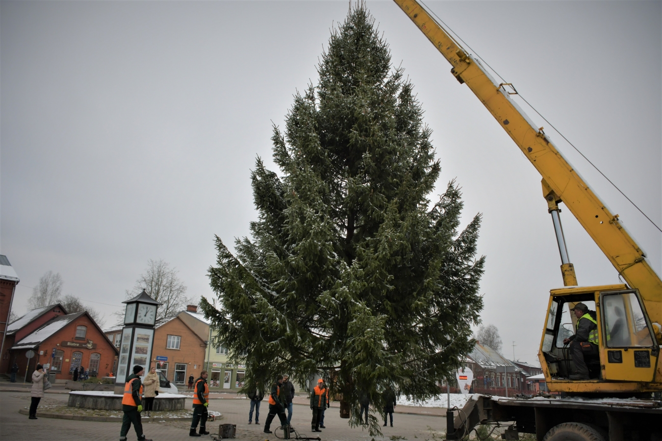 Izvēlēta pilsētas galvenā egle