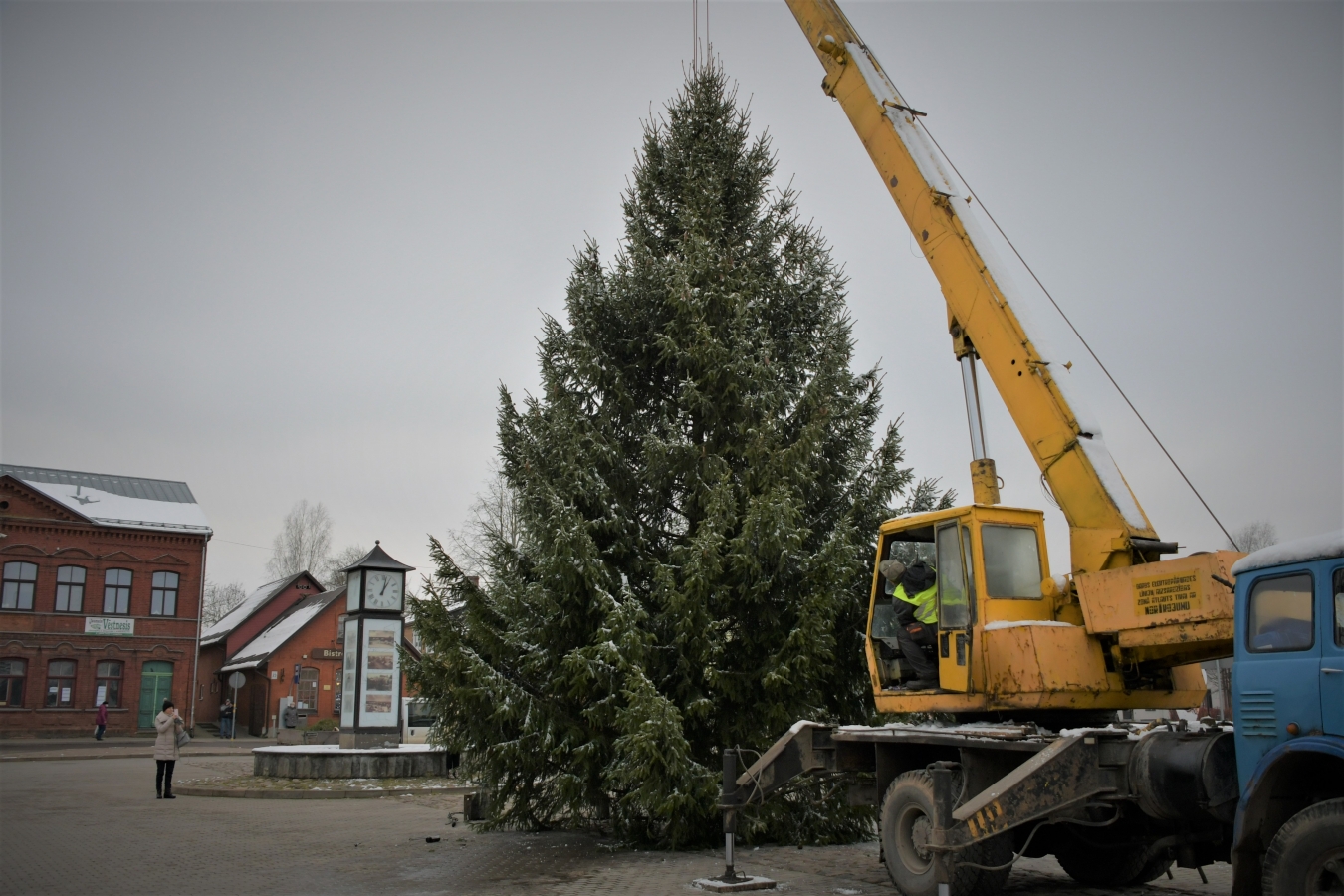 Izvēlēta pilsētas galvenā egle