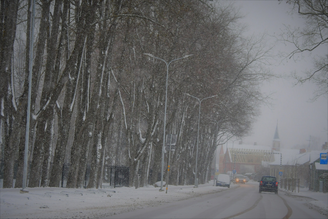 Pilsēta putenī (01.2021)