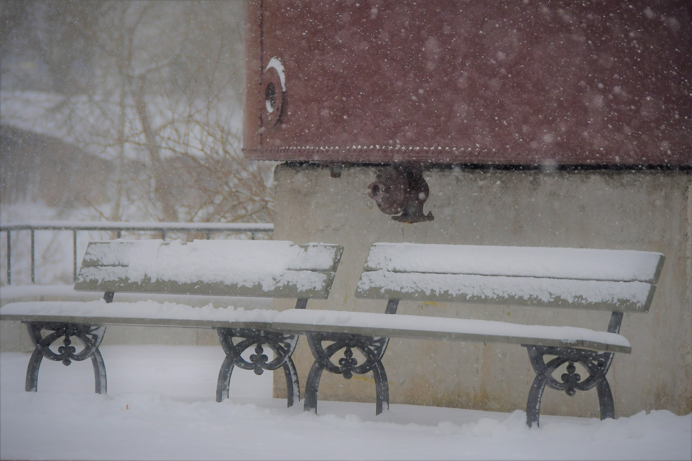 Pilsēta putenī (01.2021)