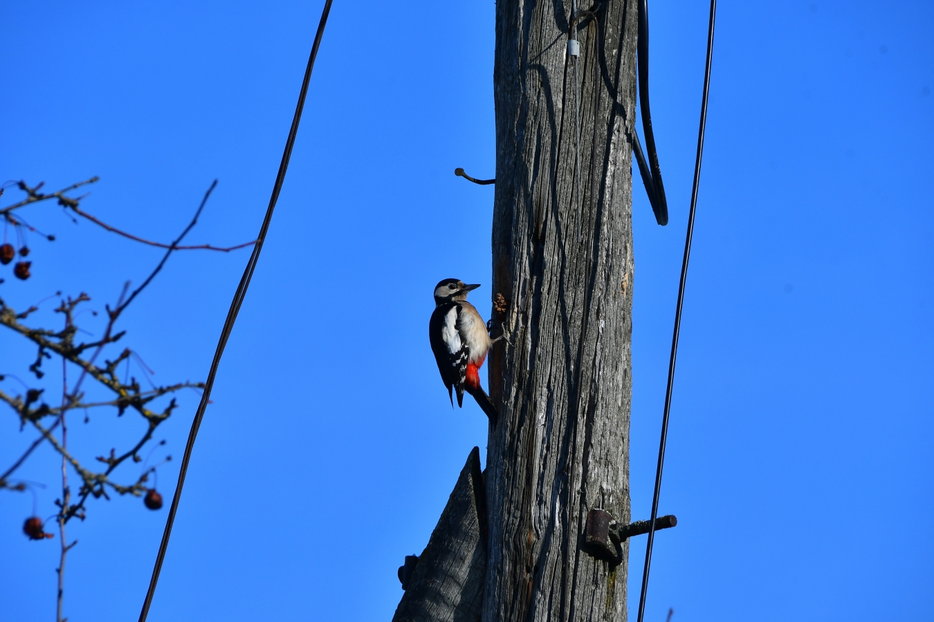 Jēkabpils februāra nogalē