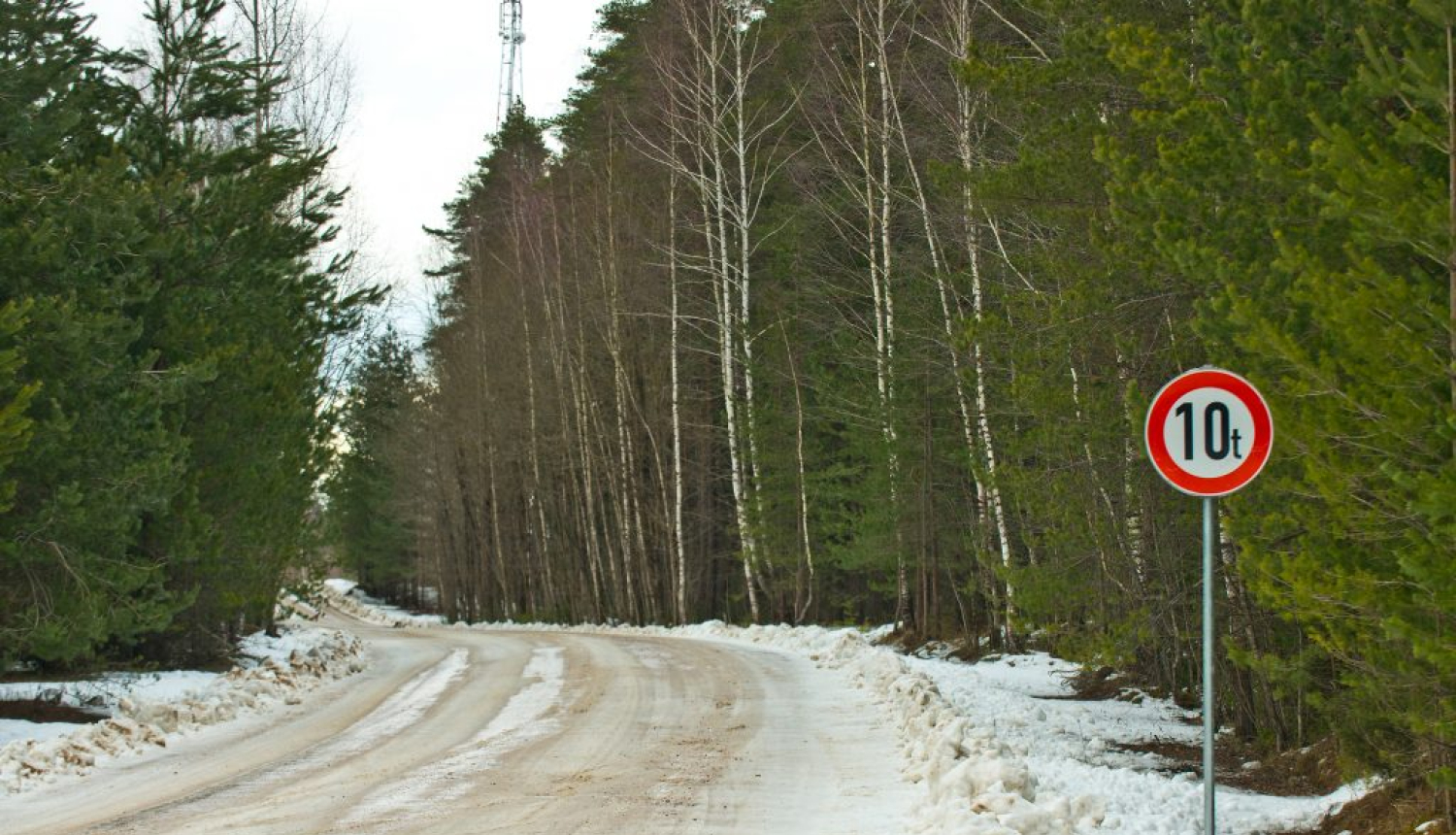 Transporta masu ierobežojoša zīme 10 tonnas uz meža ieskauta ceļa