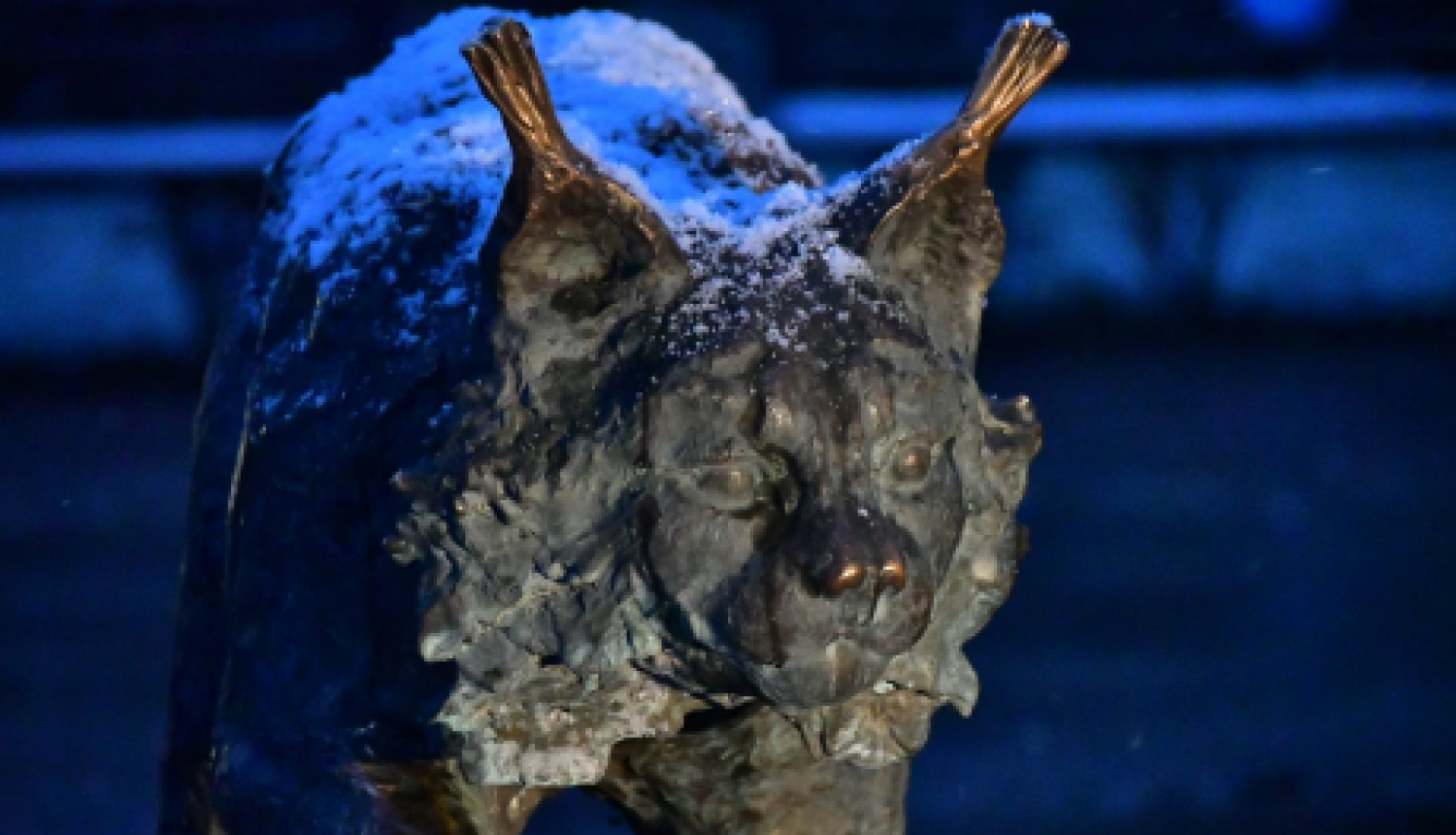 Pašvaldības nedēļas plāns 30.11.- 06.12.