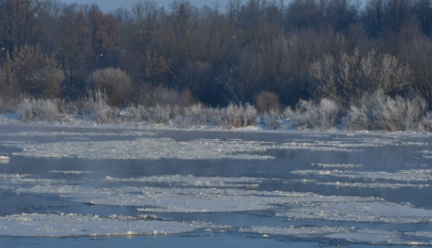 Uz laiku par SIA “Jēkabpils pakalpojumi” valdes locekli ievēlēta Anita Moskovska