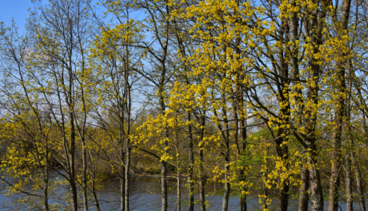 Izglītības iespējas personām ar invaliditāti un garīgā rakstura traucējumiem