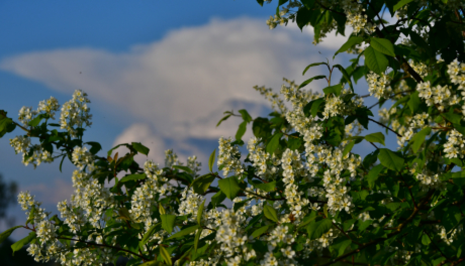 Aicinām ikvienu uzņēmēju pieteikt dalību LTRK Zemgales biznesa dienai