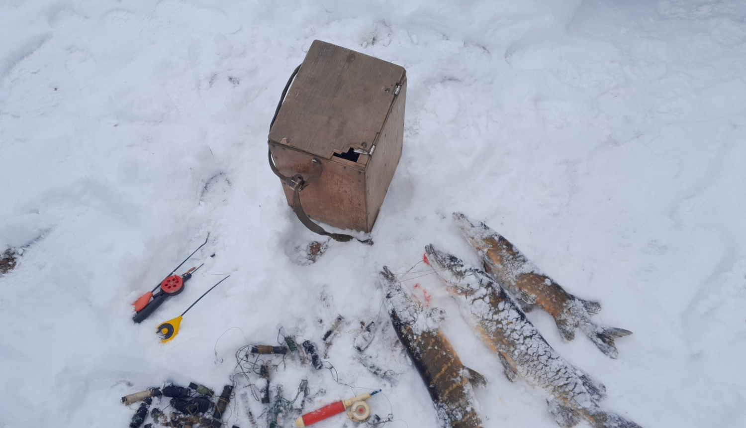 Uz sniega stāv zemledus makšķernieka aprīkojums un nelegāli noķertas zivis