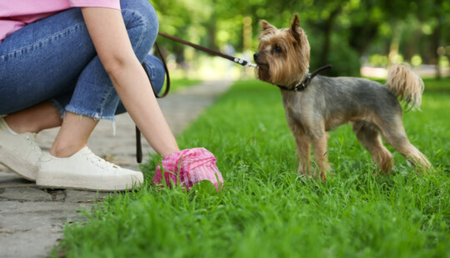 Savāc aiz sava suņa