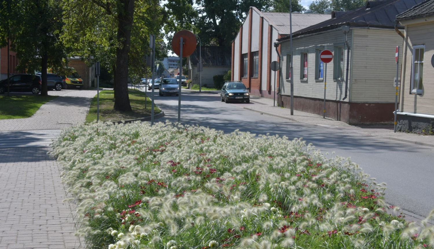 Ziedi Brīvības ielā