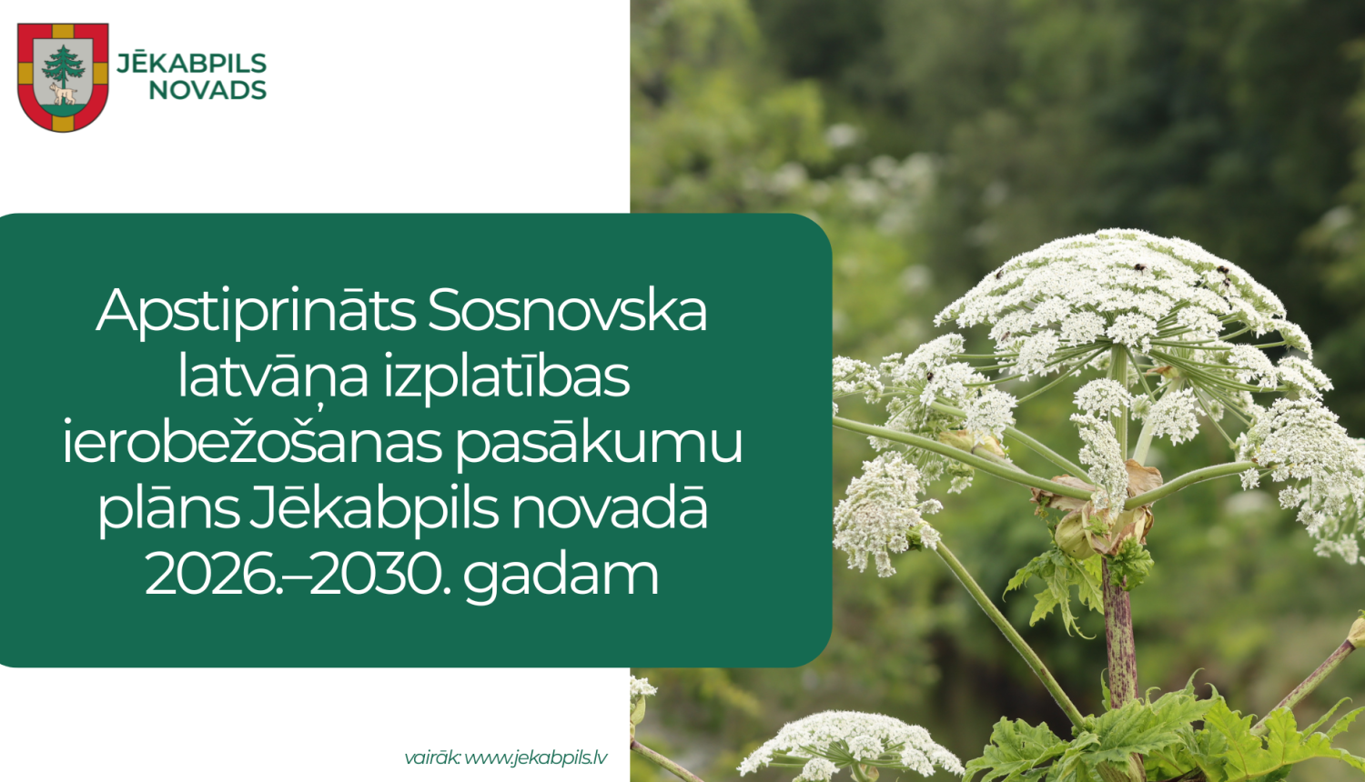 Apstiprināts latvāņu ierobežošanas plāns