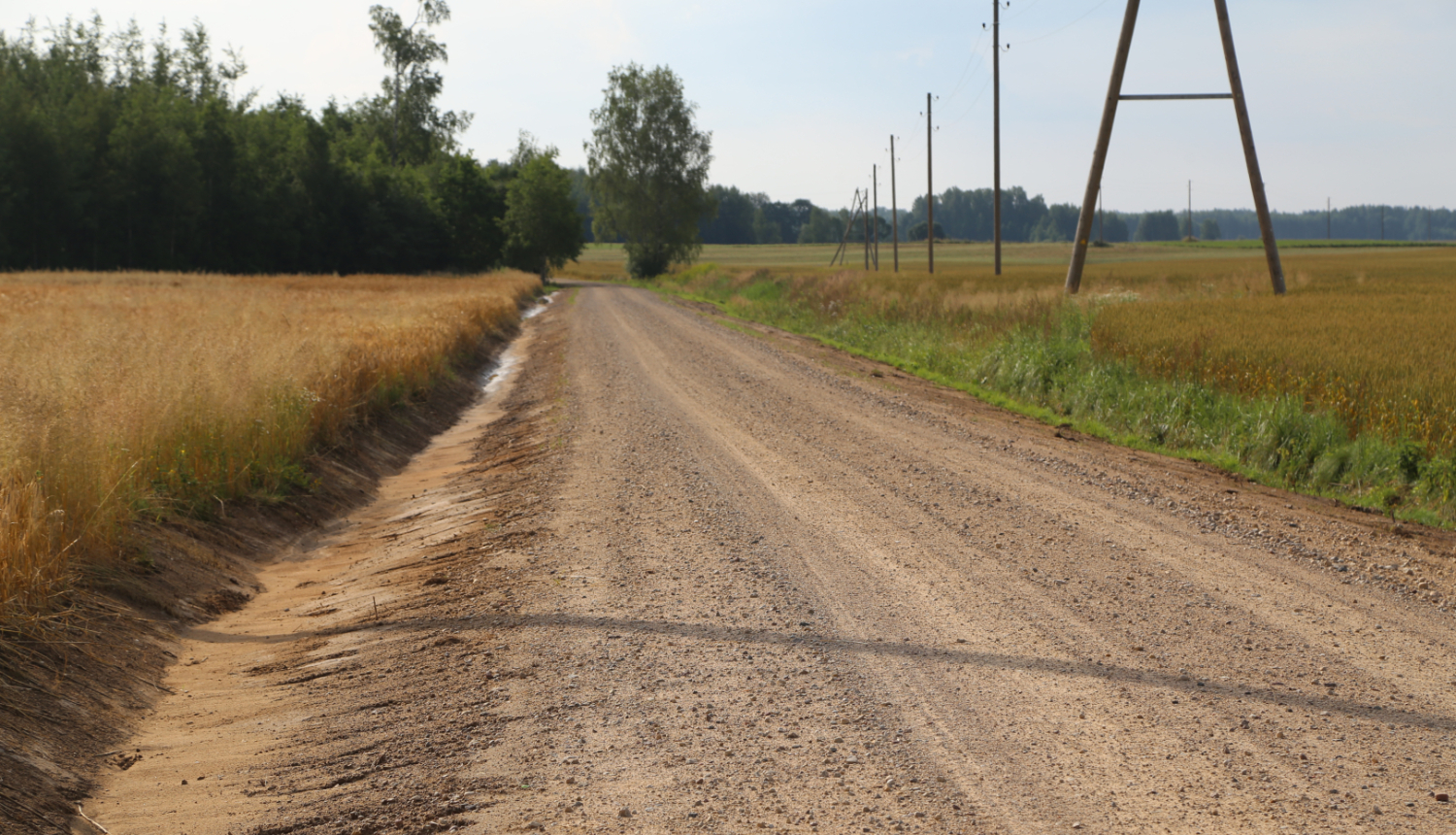 Noņemts apaugums ceļu malās