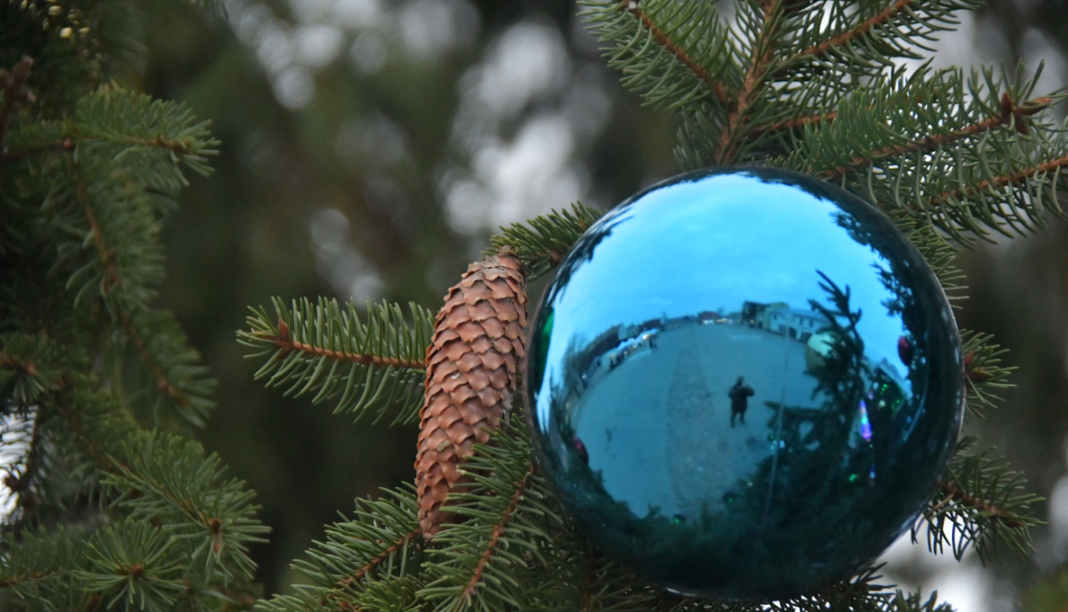 Čiekurs un egles zars