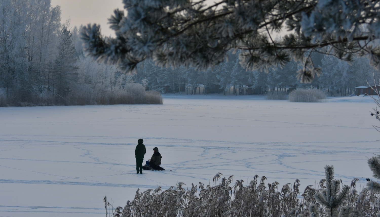 Makšķerēšanas atļaujas Radžos