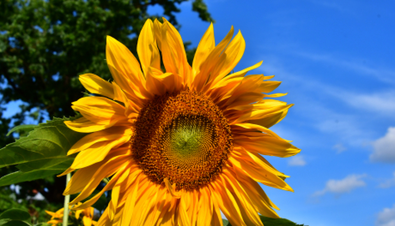 Tēva dienas pasākums