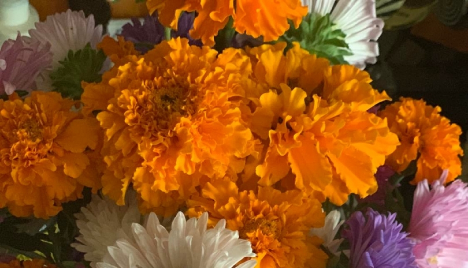 Psihologa lekcijas rudens