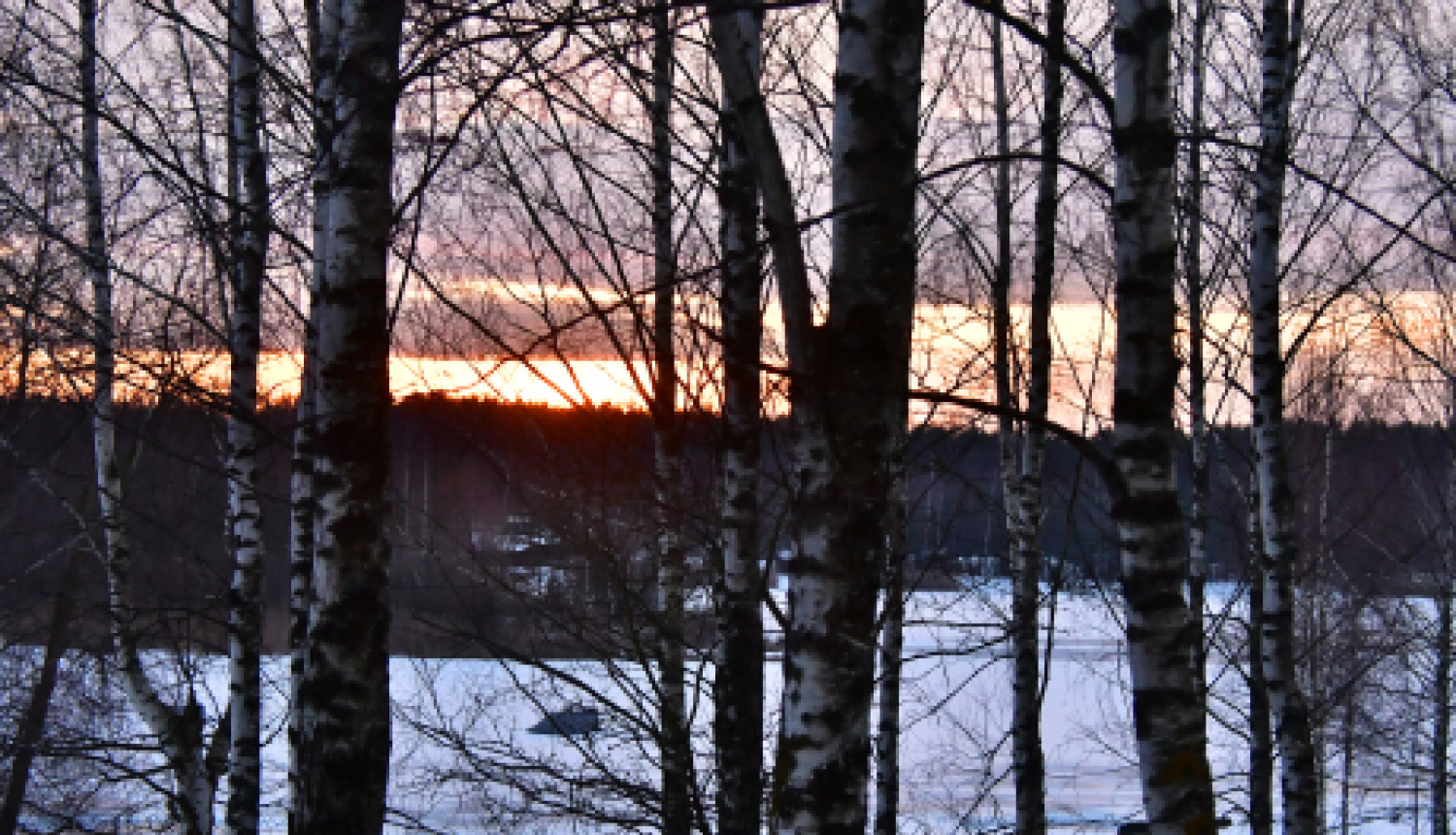 Pašvaldības nedēļas plāns 25.01.-31.01.