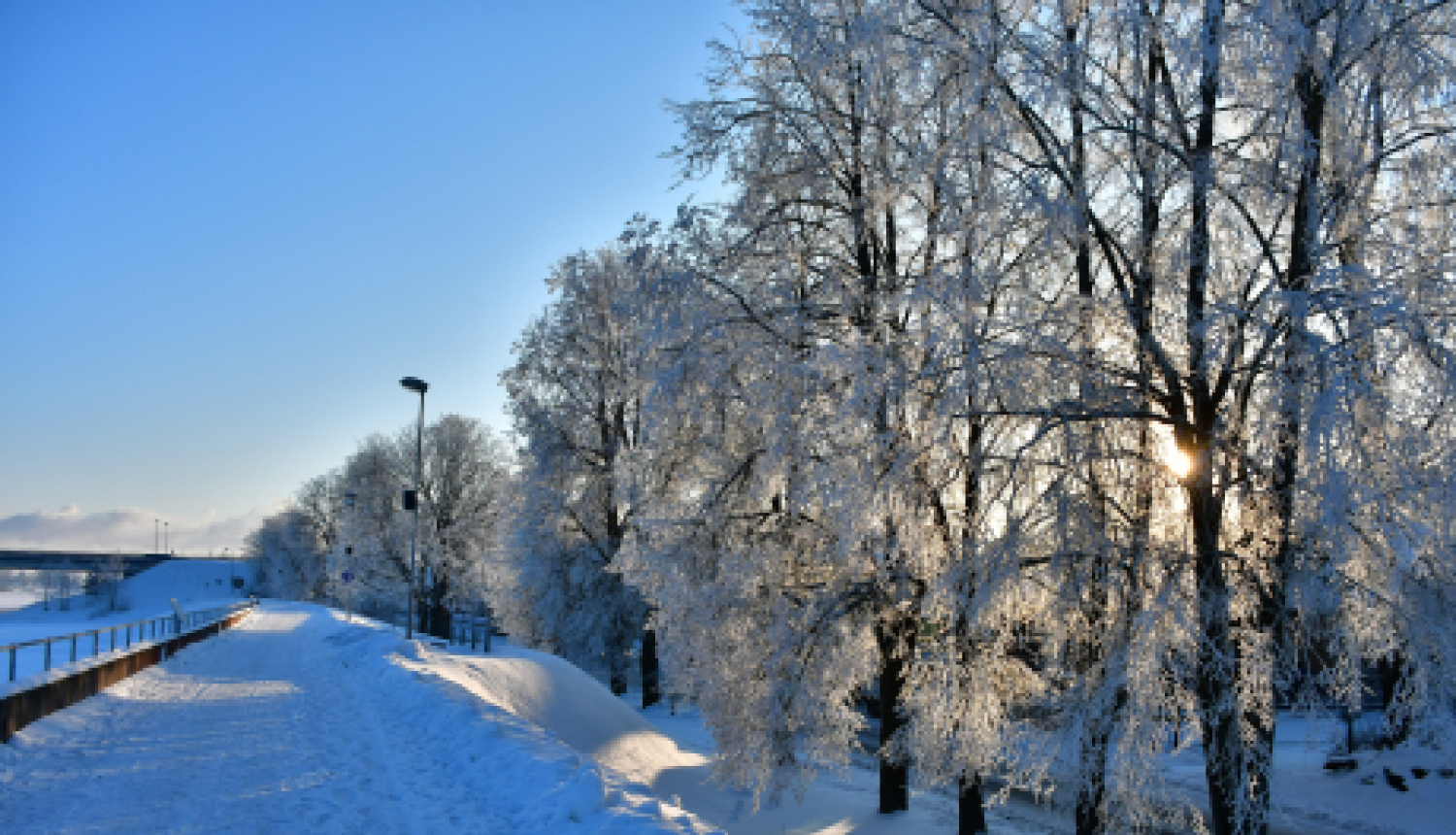 Par kuponu iegādi pārtikas preču iegādei skolēniem