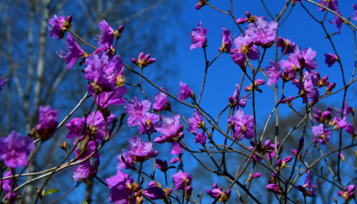 Pašvaldības nedēļas plāns 19.04.-25.04.