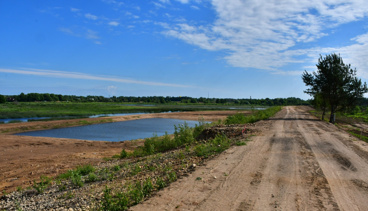 Fitoremediācijas lauki