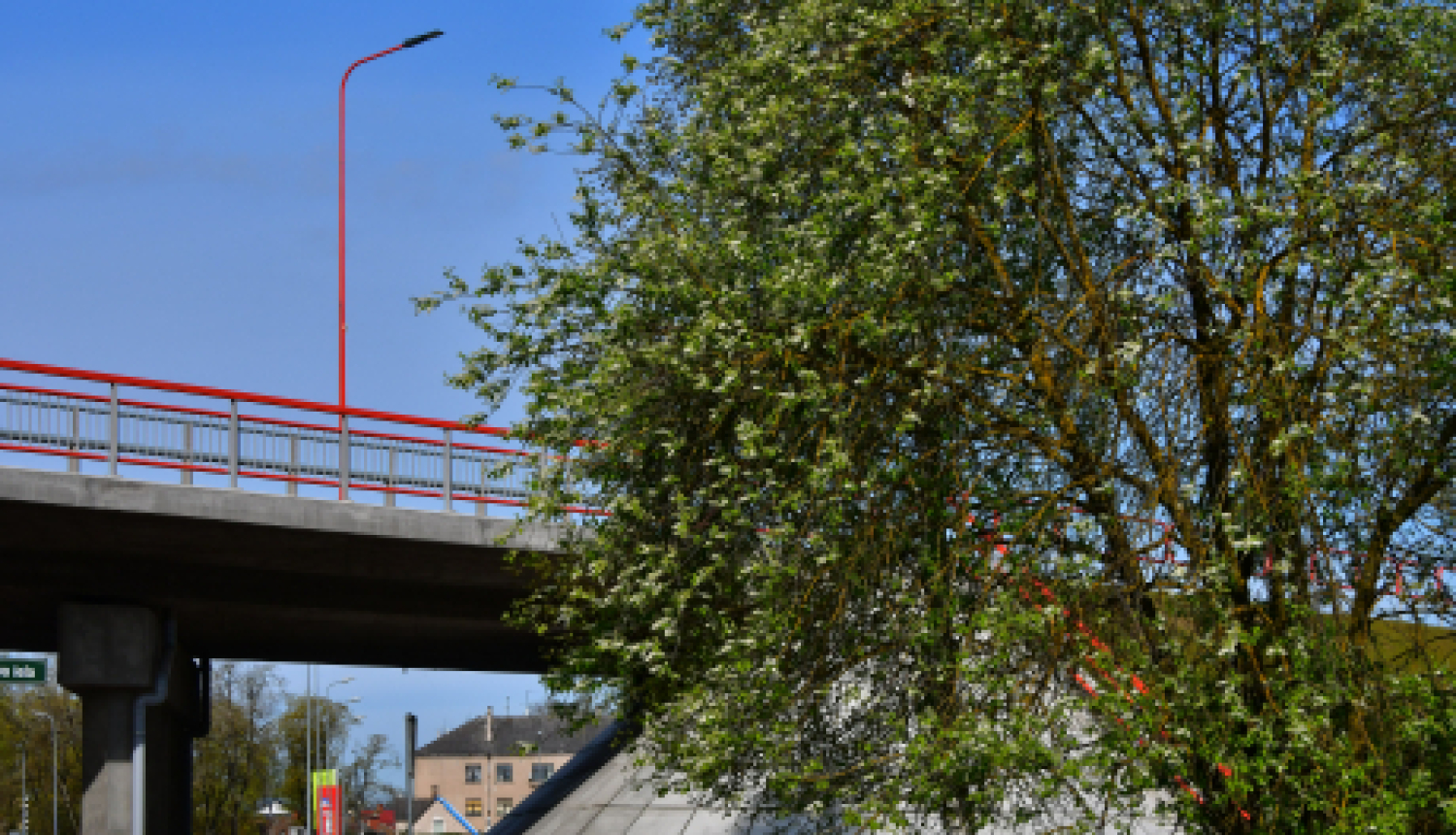 Apstiprina Medību koordinācijas komisiju