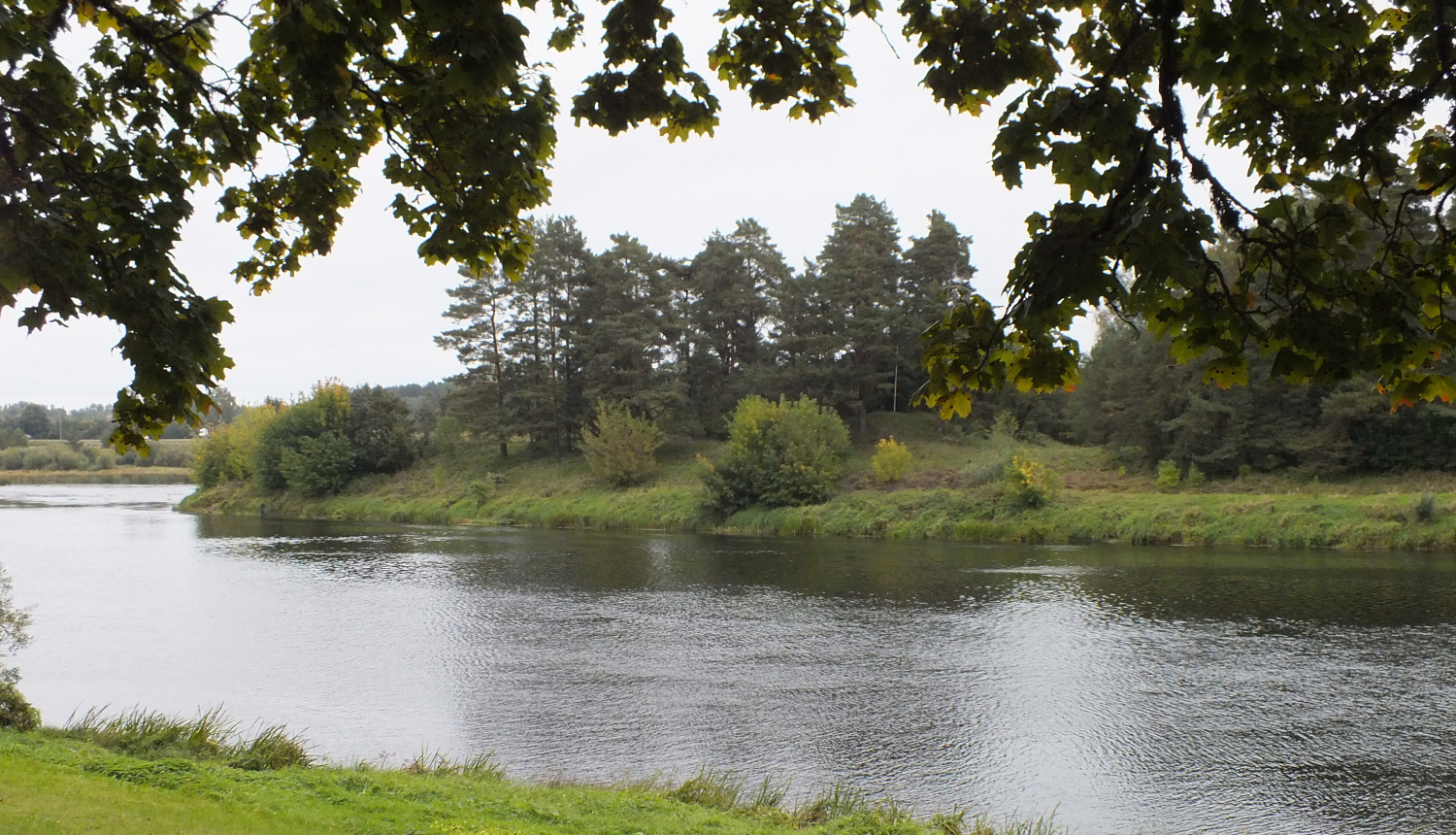 Atzīmējot Baltu vienības dienu, Daugavas krastā iepretī Kaupres pilskalnam tika ierunāts videovēstījums skolēniem. FOTO: Valdis Aleksandrovs