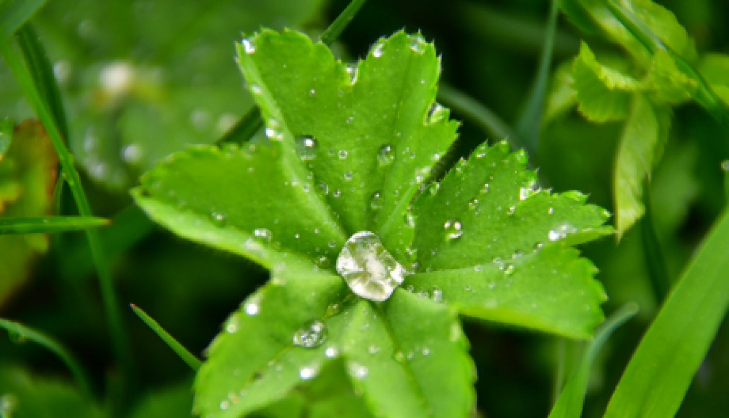 21.maijā aicina uz bezmaksas lekciju “Stress un veselība”                                                 
