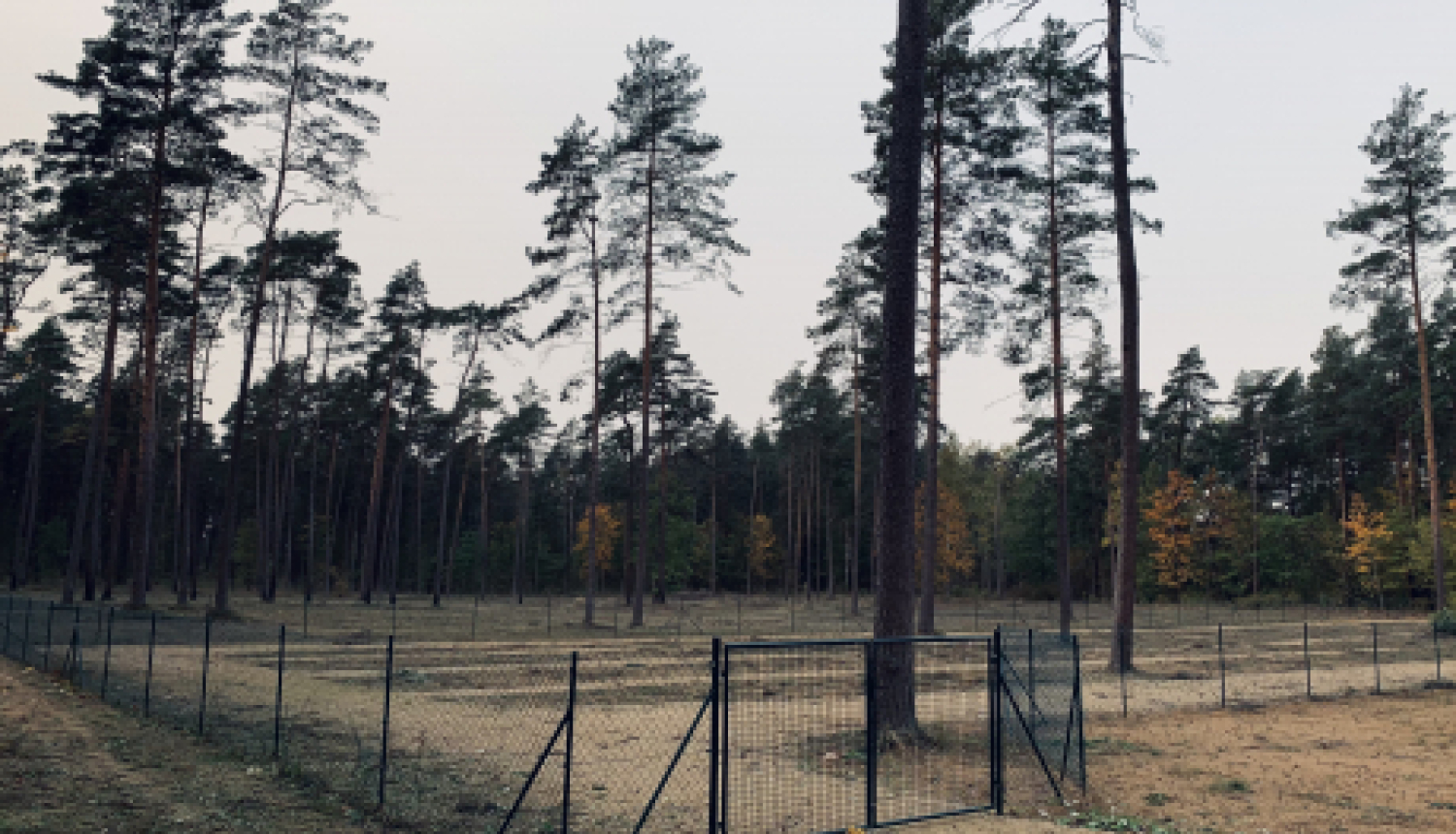 Jēkabpils dzīvnieku kapsēta no 1.oktobra uzsāk darbību