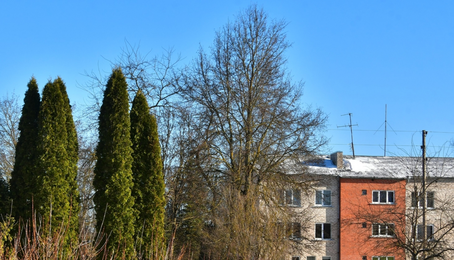 Daudzdzīvokļu ēka Salas pagastā