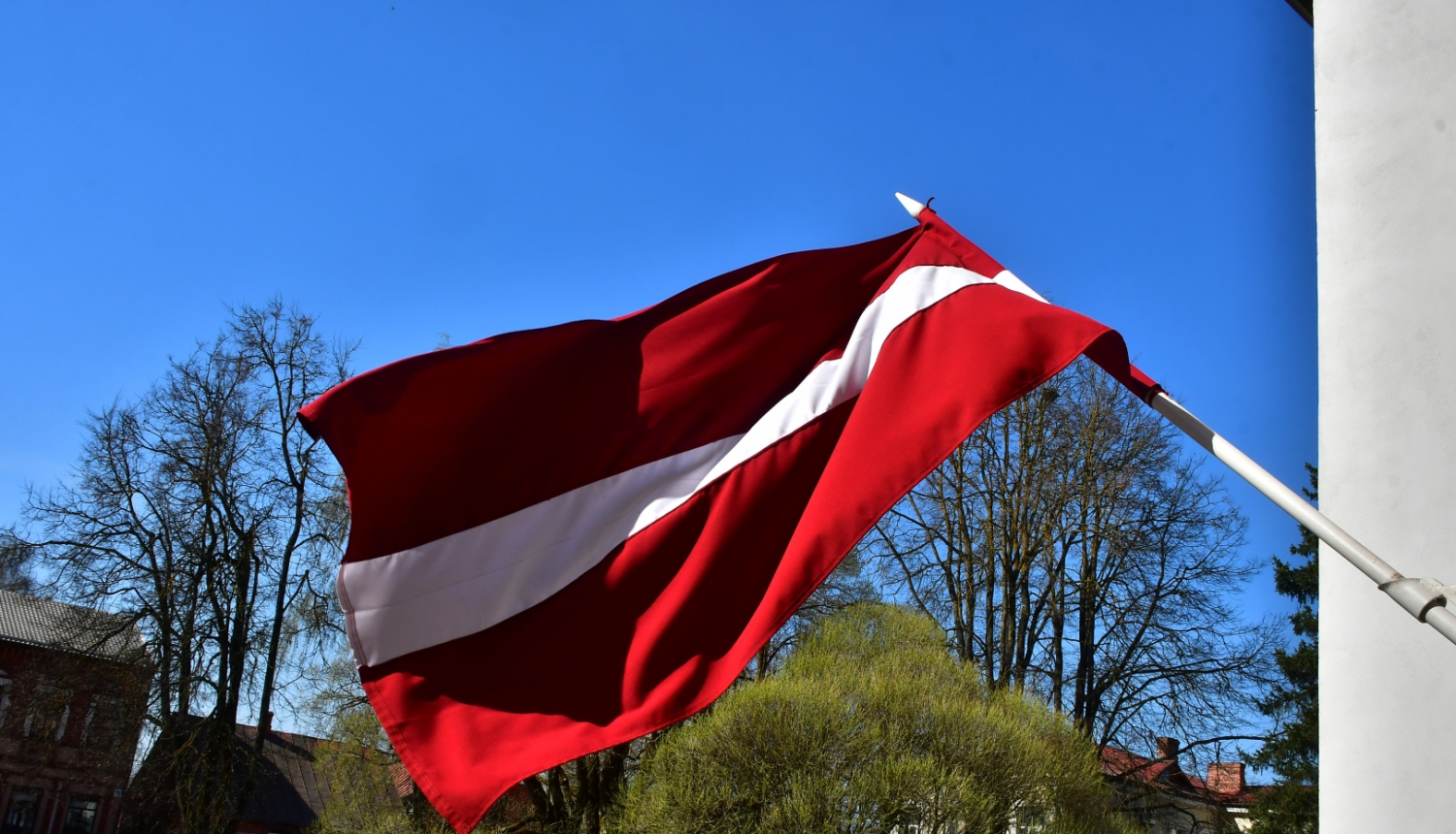 Latvijas karogs un koki