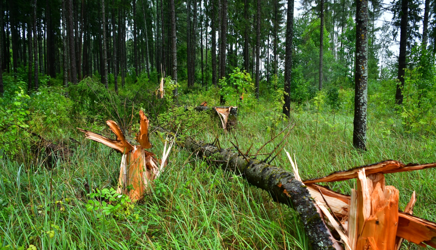 Negaiss Jēkabpilī būtiskus postījumus nav nodarījis