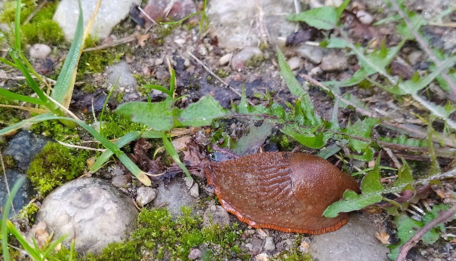 (Foto: Iveta Jakubāne)