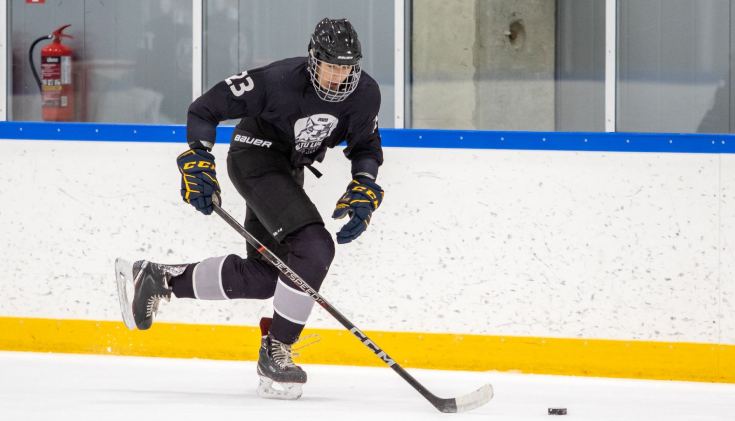 Hokeja spēlētājs "Baltu lūši" komanda