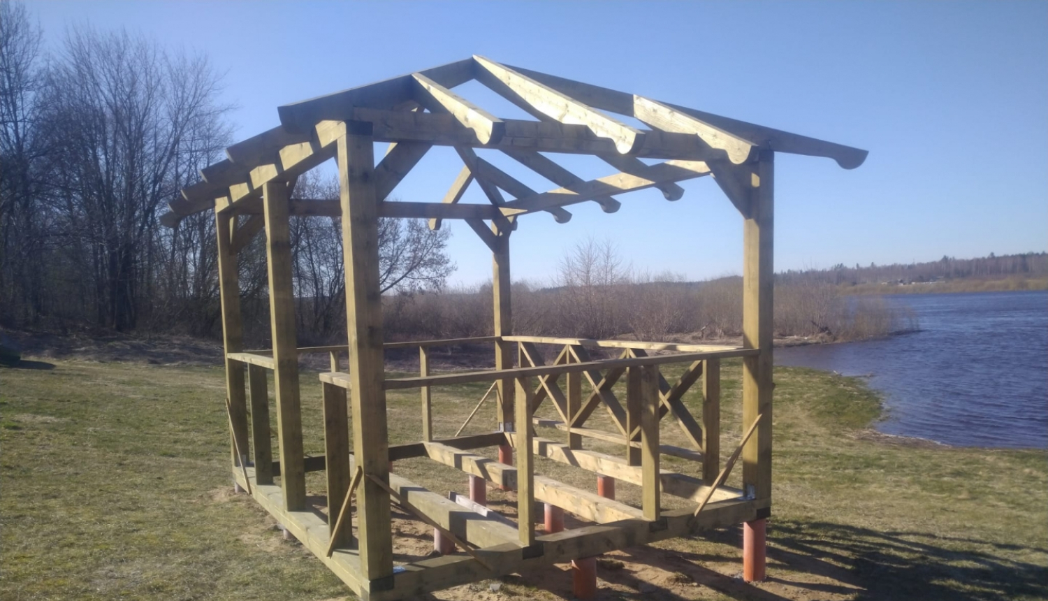 Koka lapenes karkass Daugavas krastā