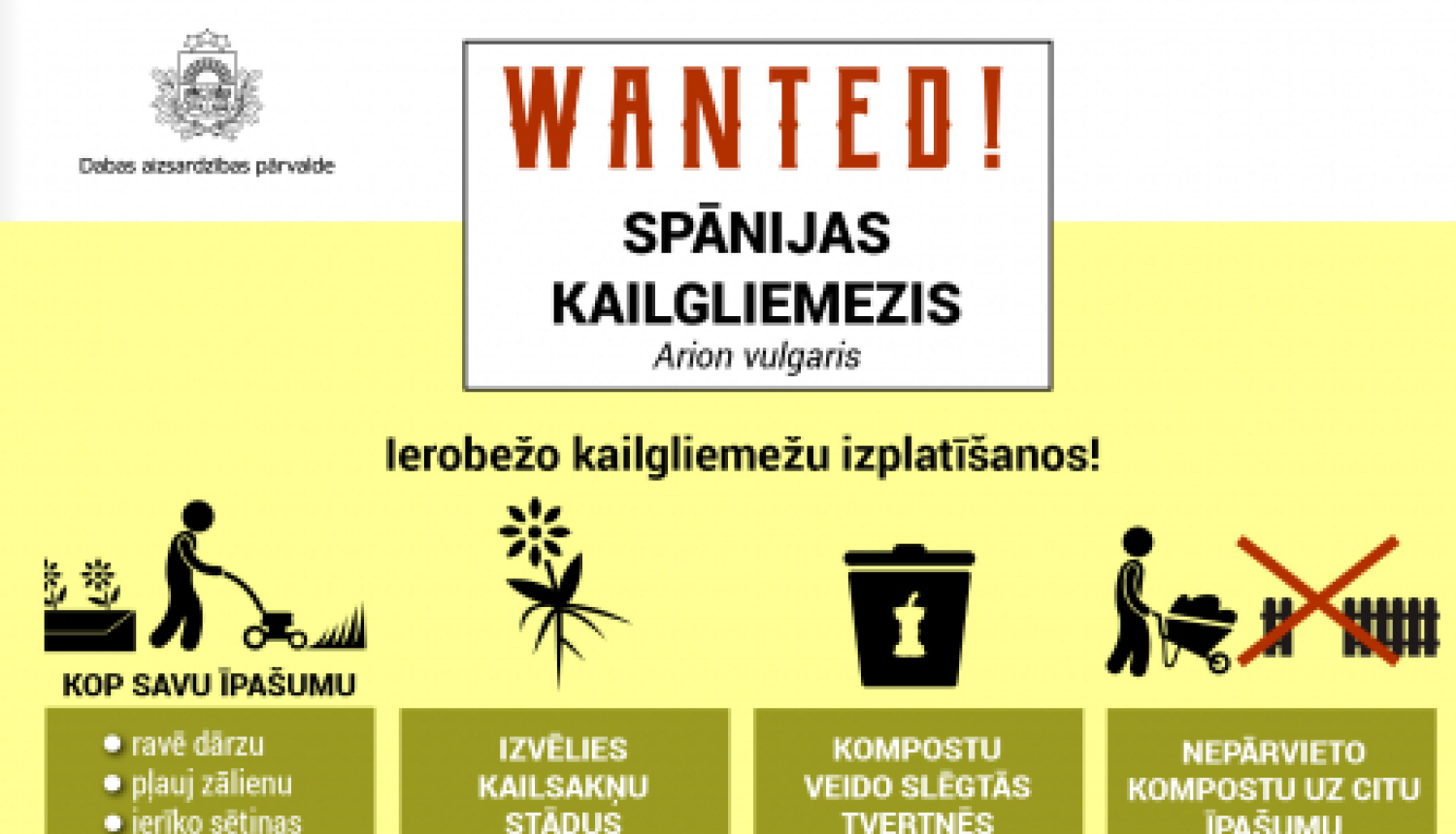 Latvijā strauji izplatās invazīvais Spānijas kailgliemezis