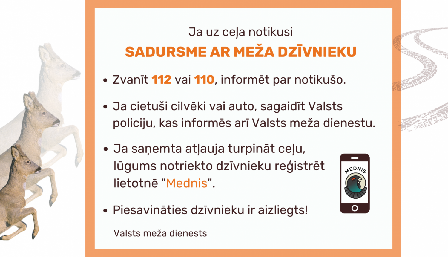 Informatīvais materiāls - ja uz ceļa notikusi sadursme ar meža dzīvnieku