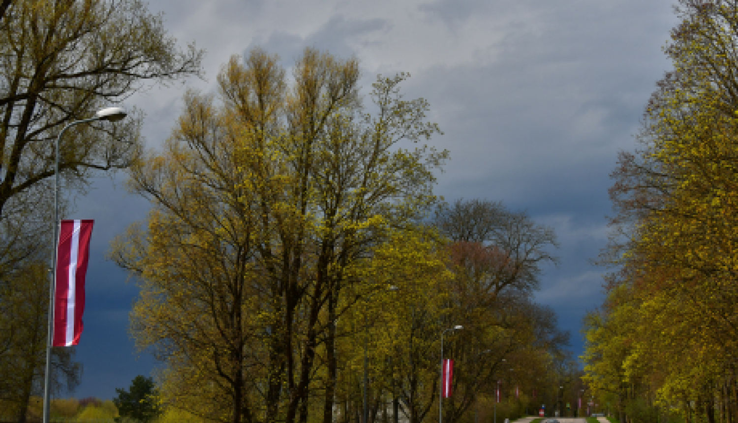 17. maijā sākas skolēnu elektroniskā reģistrācija dalībai NVA vasaras nodarbinātības pasākumā