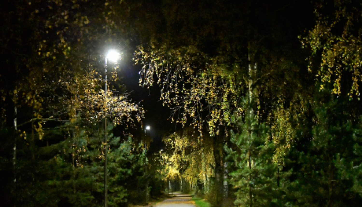 Izbūvēts apgaismojums Mežaparka veloceliņā