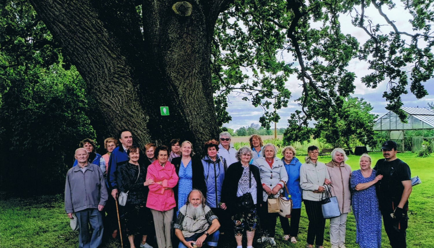 Jēkabpils invalīdu biedrība pie dižozola 