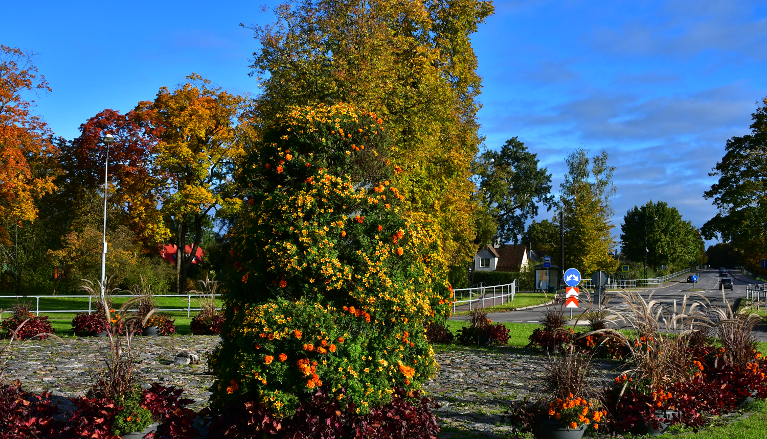 Satiksmes rotācijas aplis Vienības ielā, Jēkabpilī