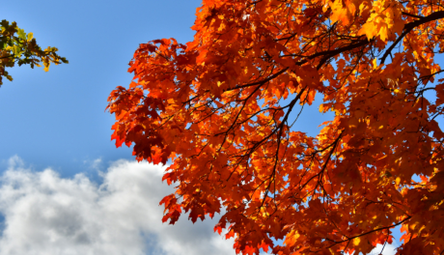 Pašvaldības nedēļas plāns 12.10.-18.10.