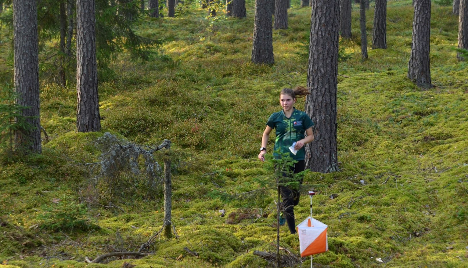 Orientēšanās foto