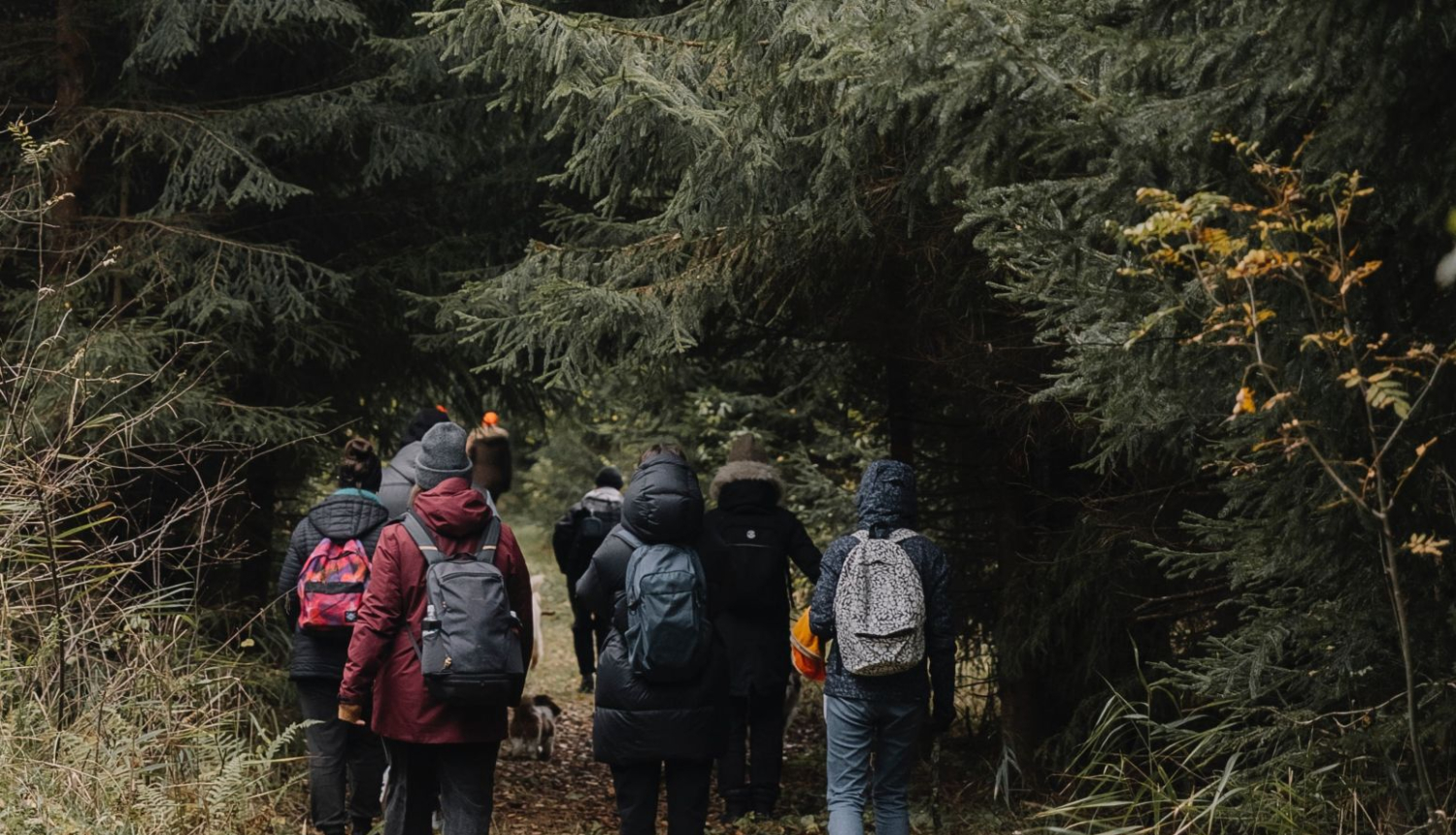 Cilvēki iet pārgājienā pa dabas taku