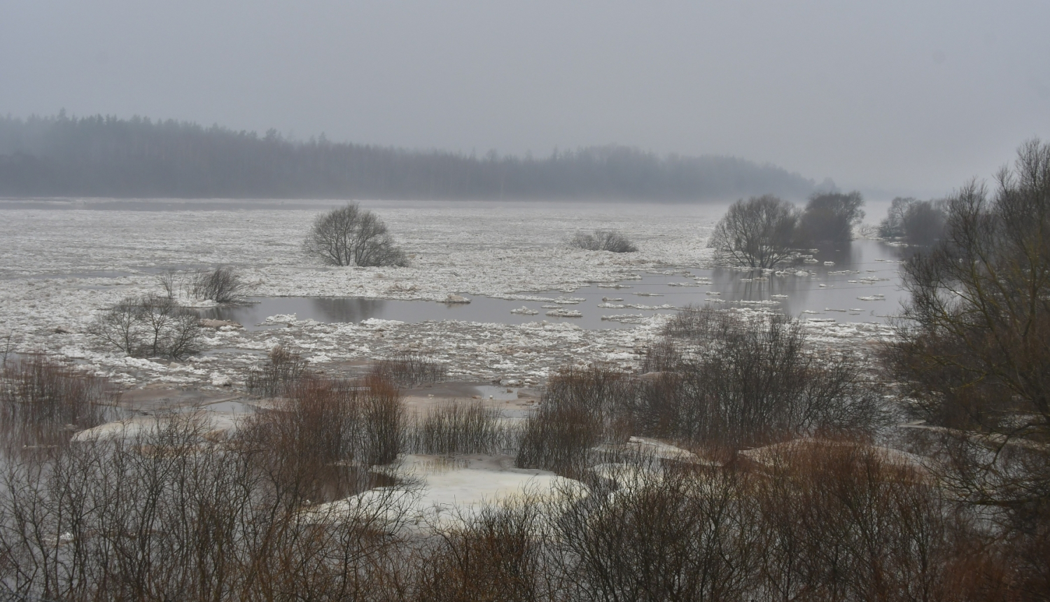 Upe Daugava palu laikā